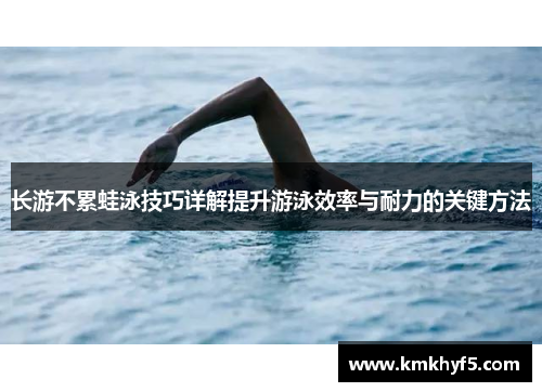 长游不累蛙泳技巧详解提升游泳效率与耐力的关键方法
